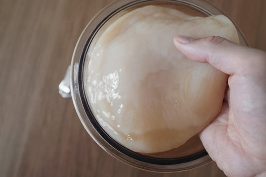 9 Interesting Kombucha SCOBY Facts