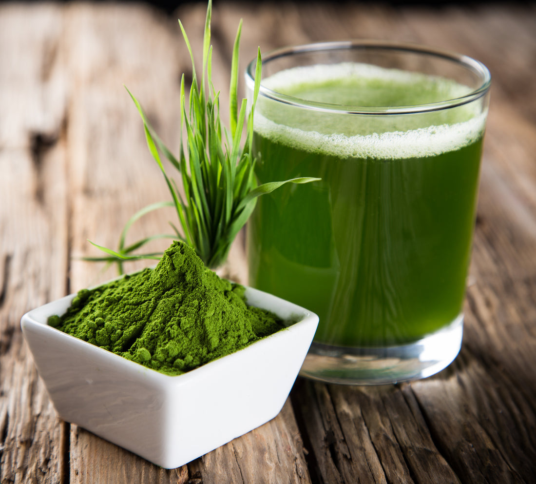 5 Excellent Health Benefits of Wheatgrass Powder